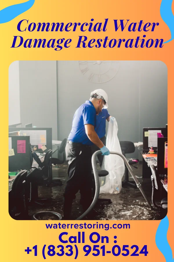 Commercial Water Damage Restoration in Goldonna, LA