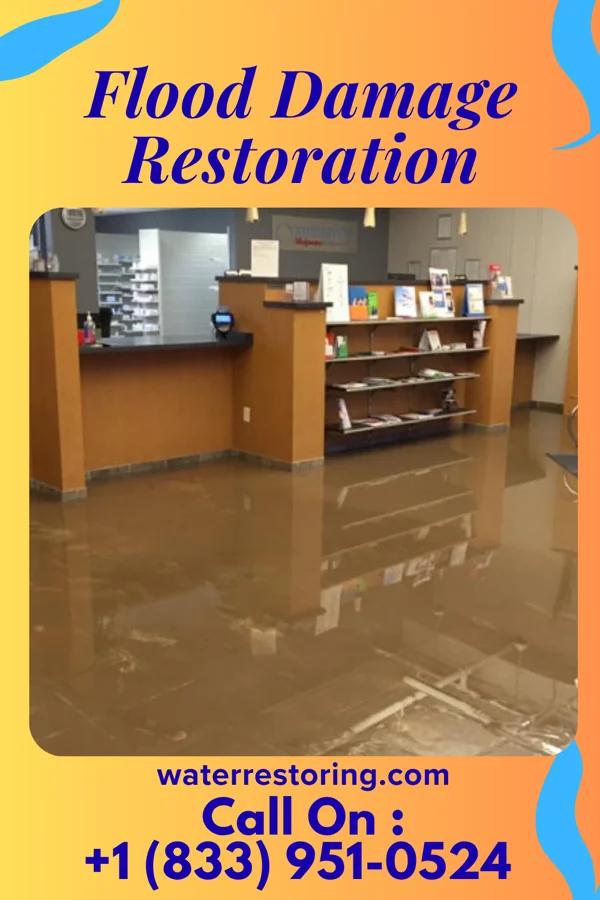 Flood Damage Restoration in Goldonna, LA