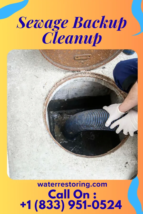 Sewage Backup Cleanup in Goldonna, LA